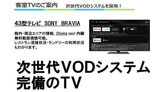 Information about TVs with mirroring function in all guest rooms
