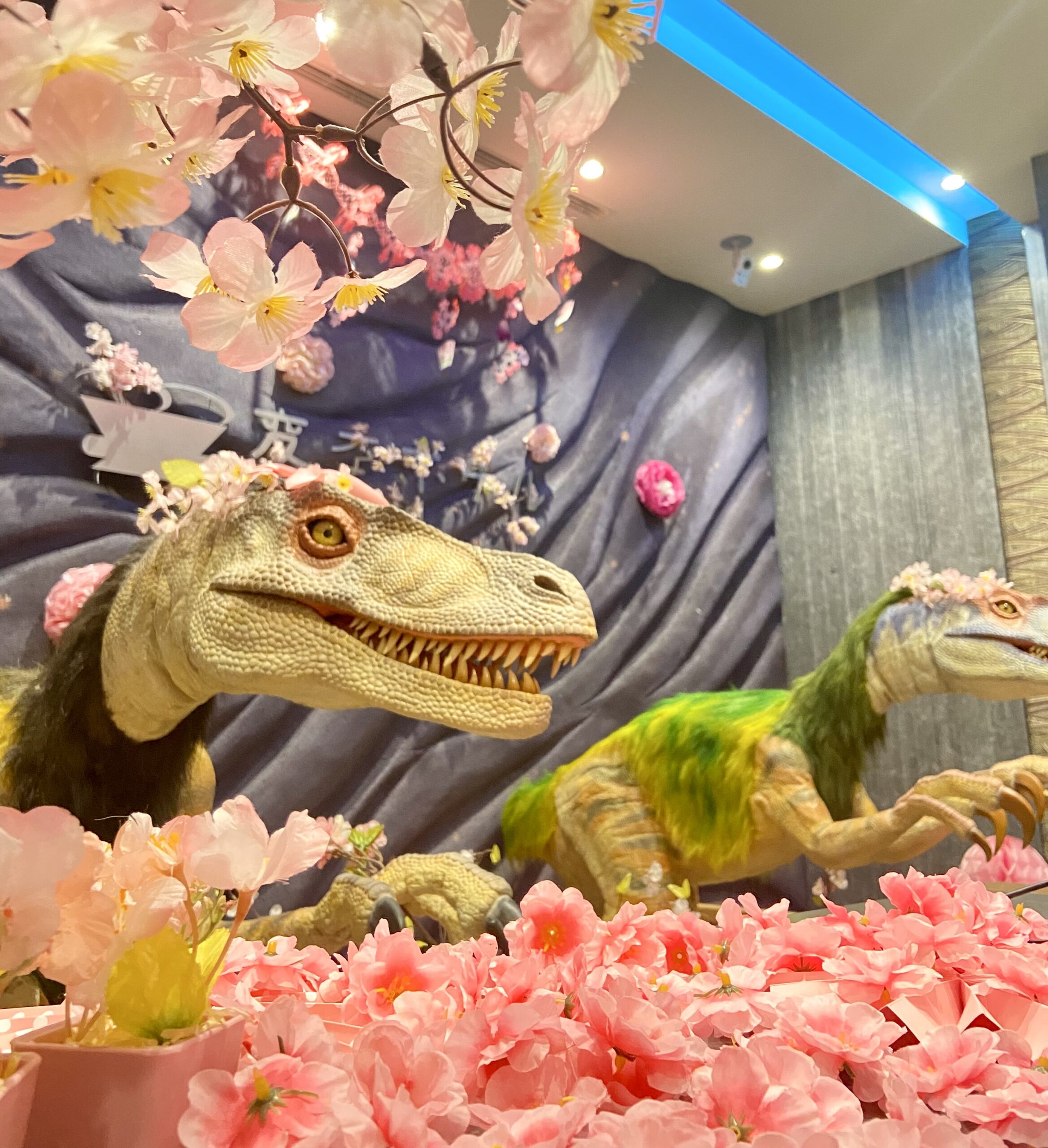 ようこそ春の京都へ！フロントが春色に染まりました🌸