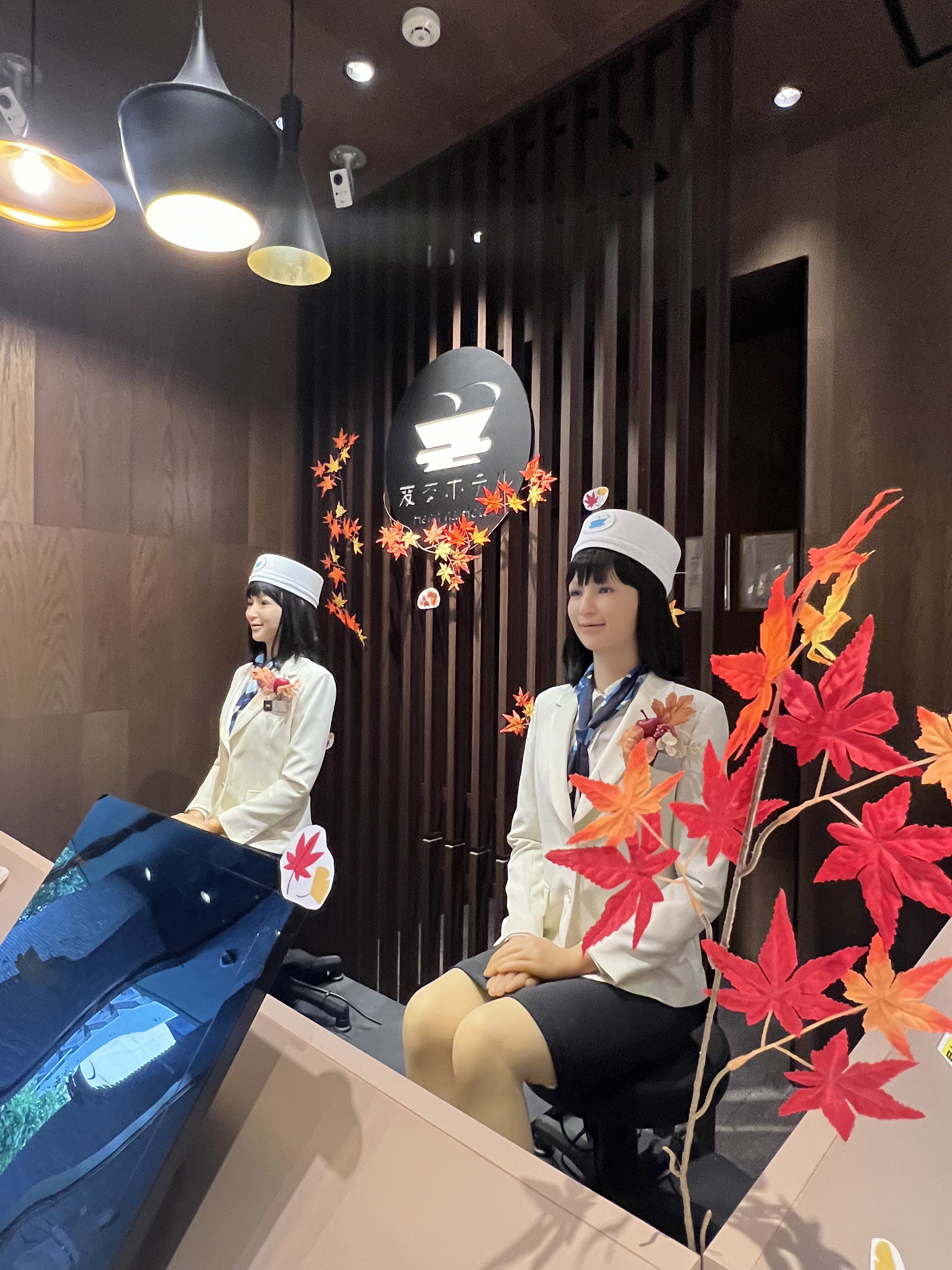 단풍 시즌이 왔네요🍁