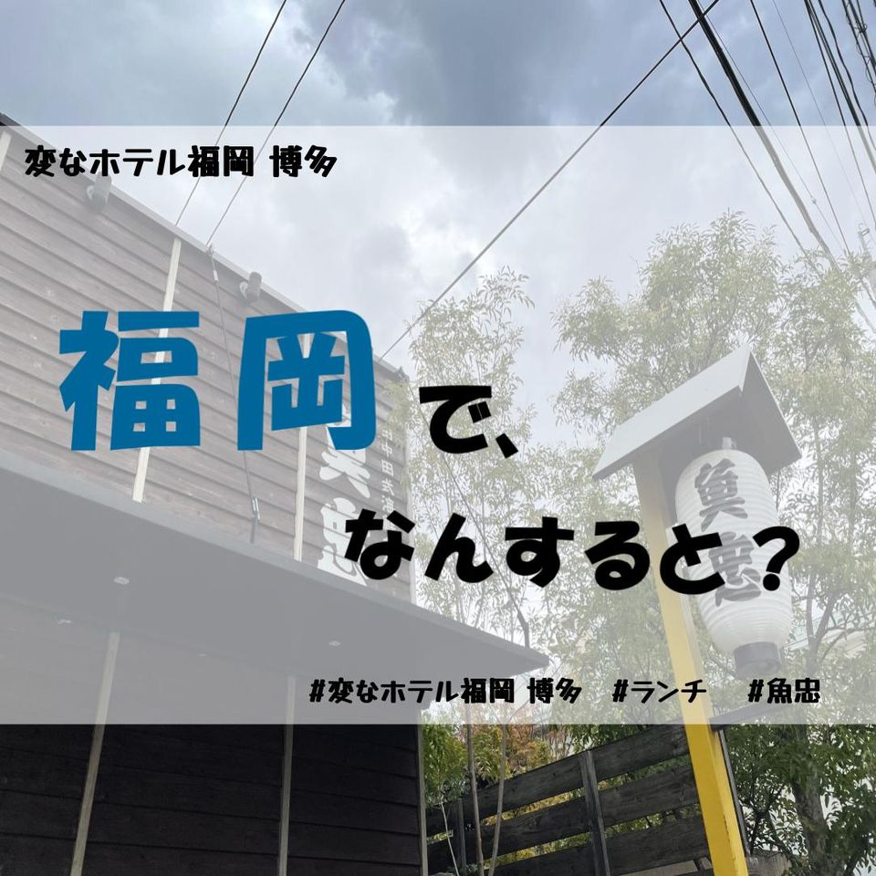 【미식】어충