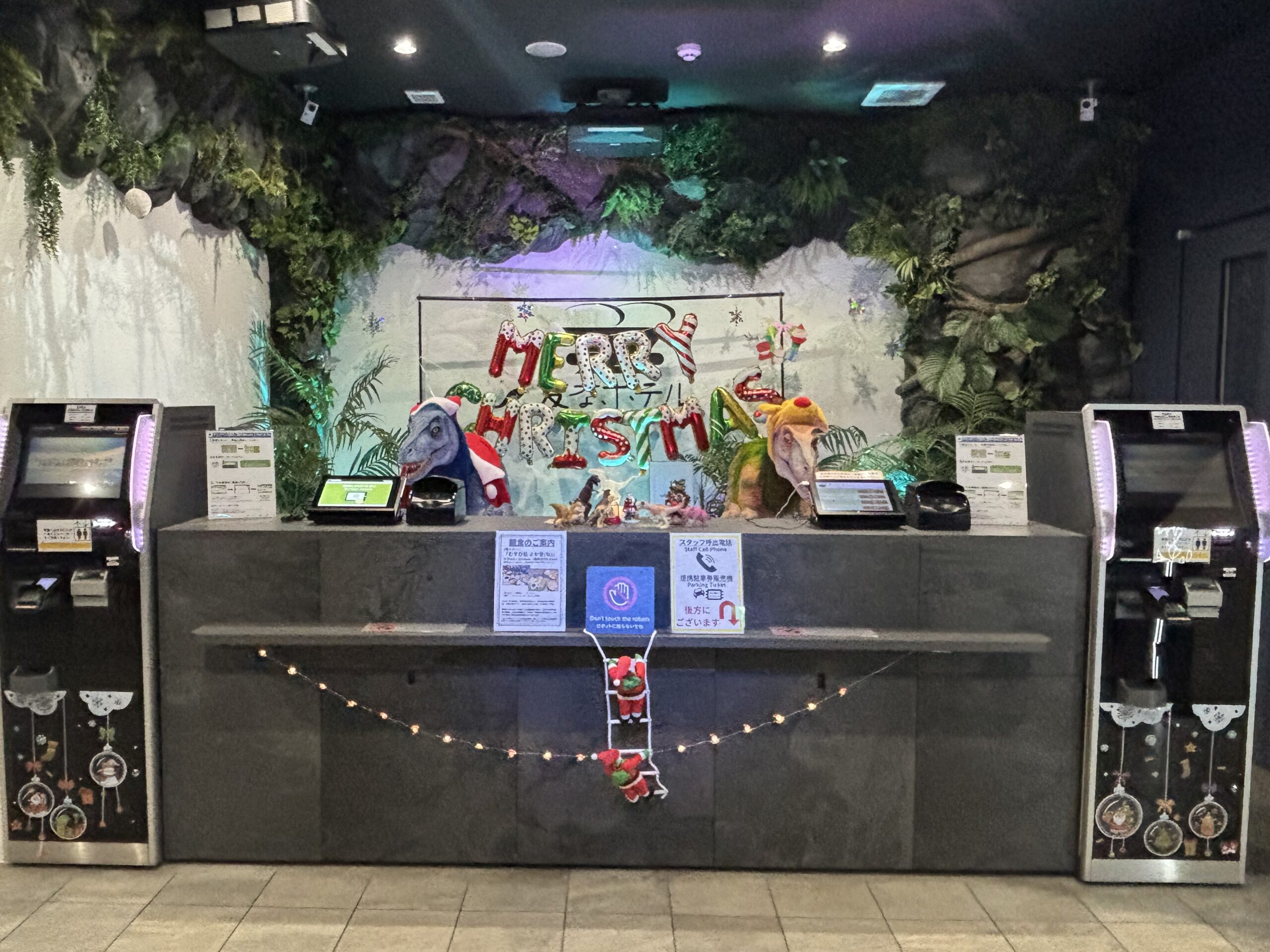 【프론트 장식】🎄공룡들이 맞이합니다! 활기찬 크리스마스 분위기✨