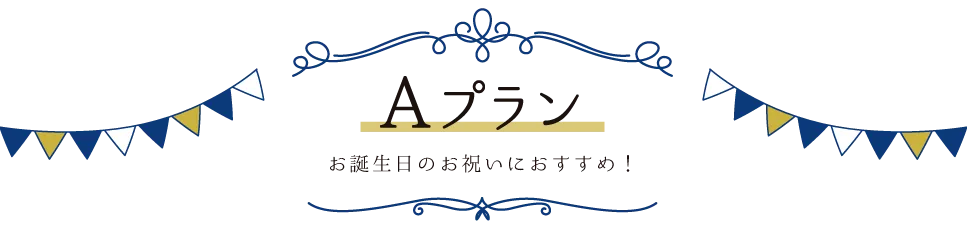 A 플랜