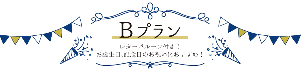 B 플랜