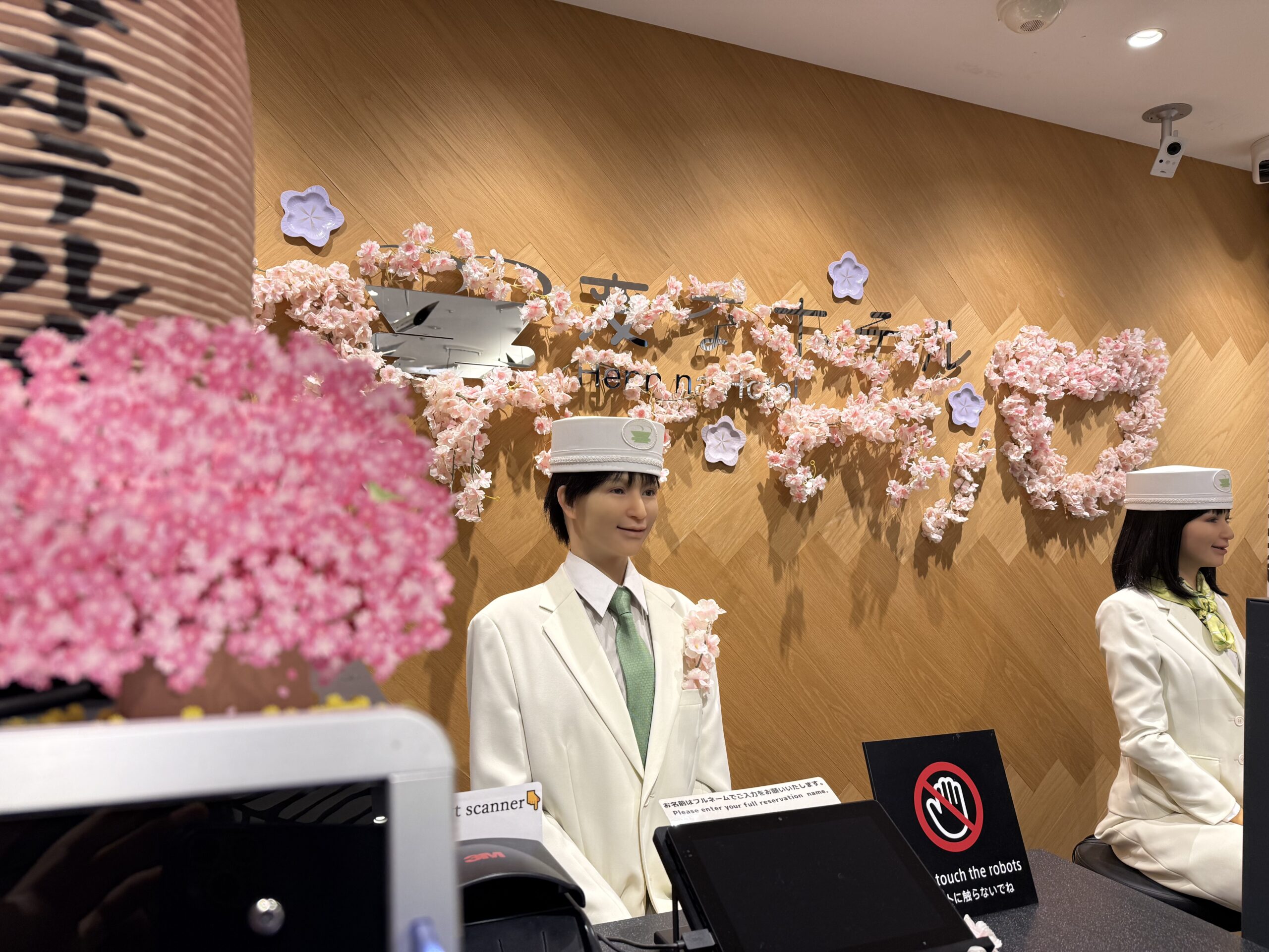 提前盛开🌸