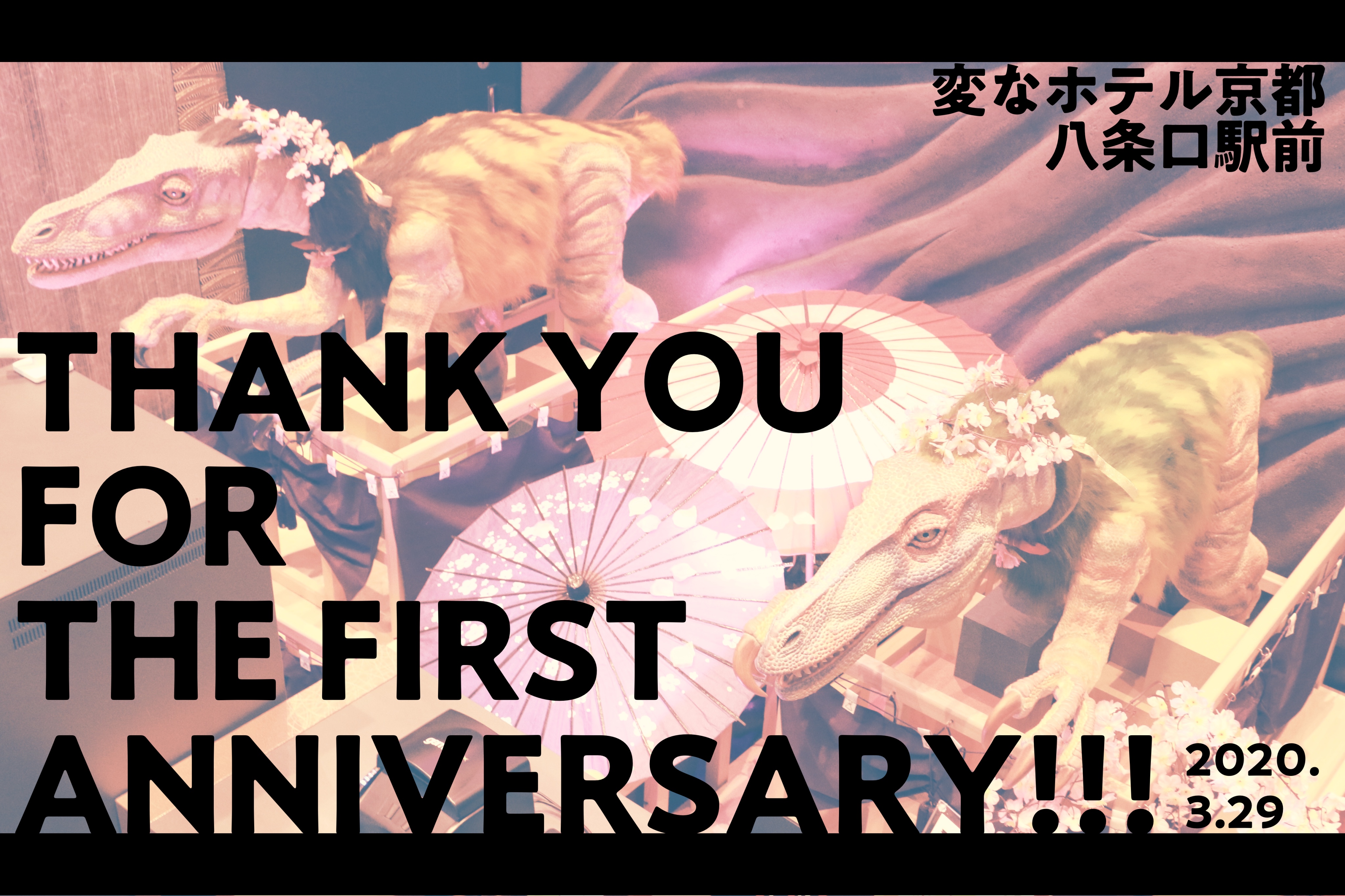 祝☆海茵娜酒店京都 八条口站前 一周年！！